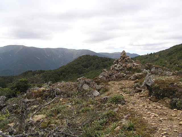 NZ leden-unor 2006 172.jpg